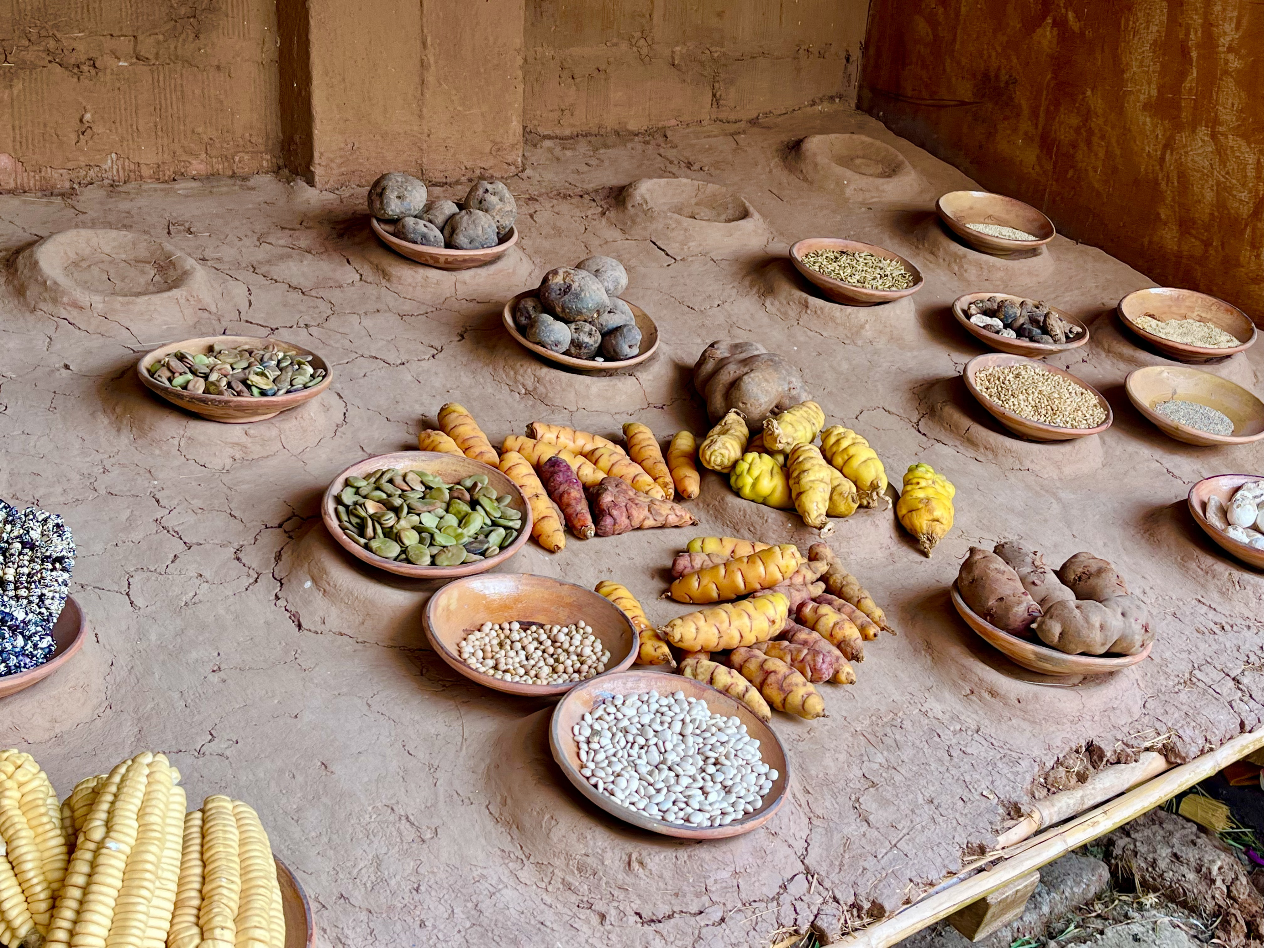 MEJORES FOTOS DE VIAJEROS